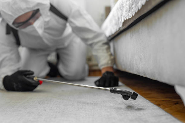 Professional Termite Control technician working in Elysburg, PA
